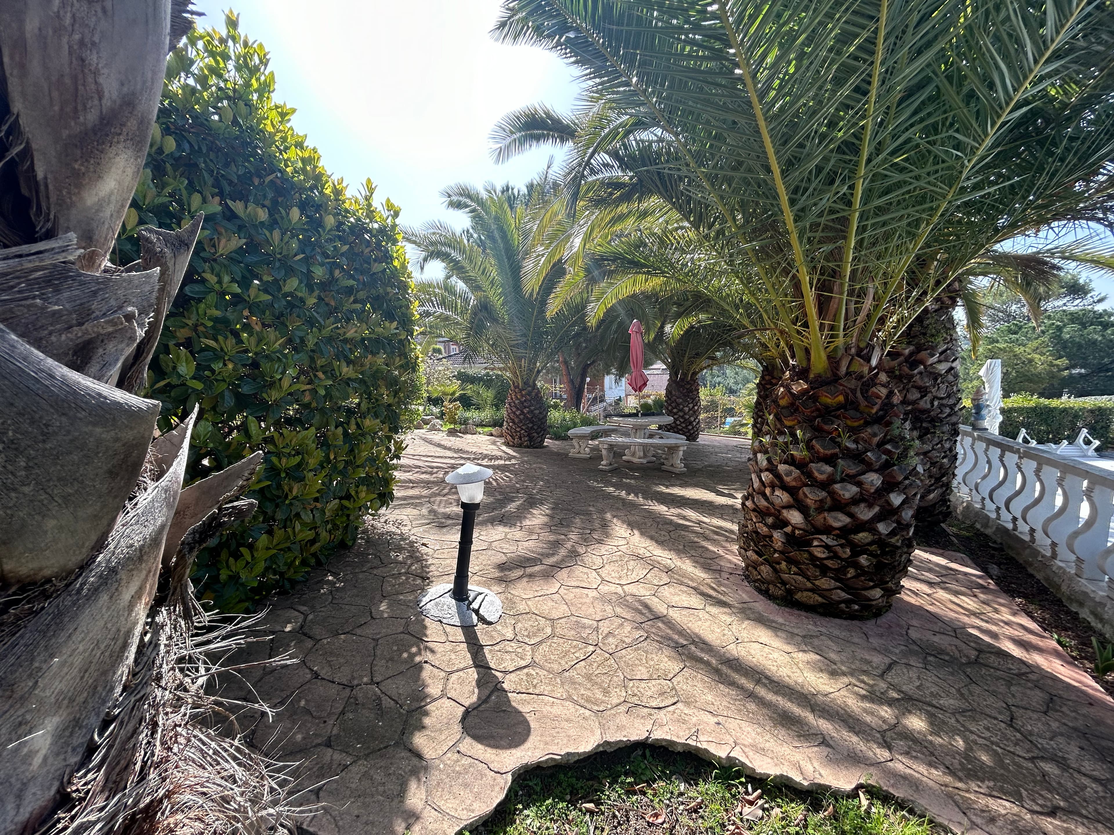 Casa de Guadalajara - Imagen 4