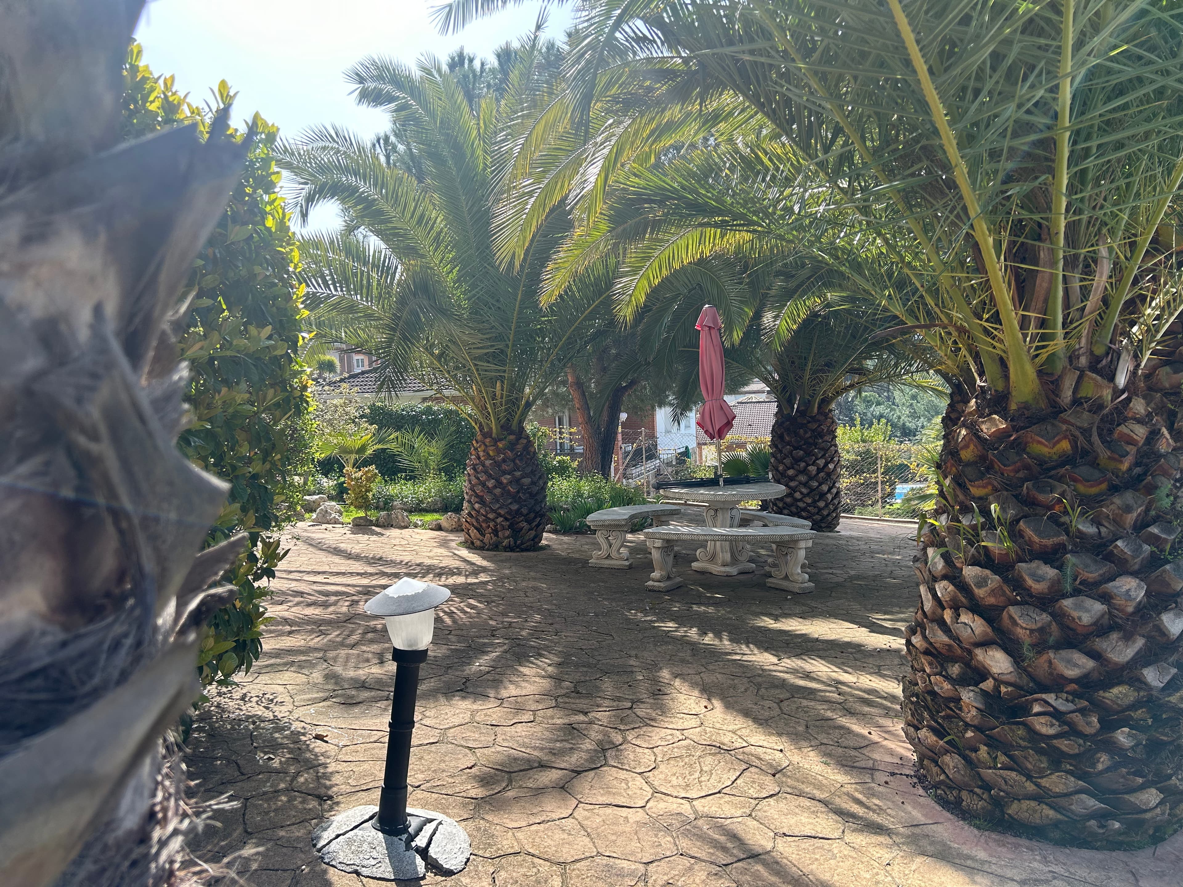 Casa de Guadalajara - Imagen 5