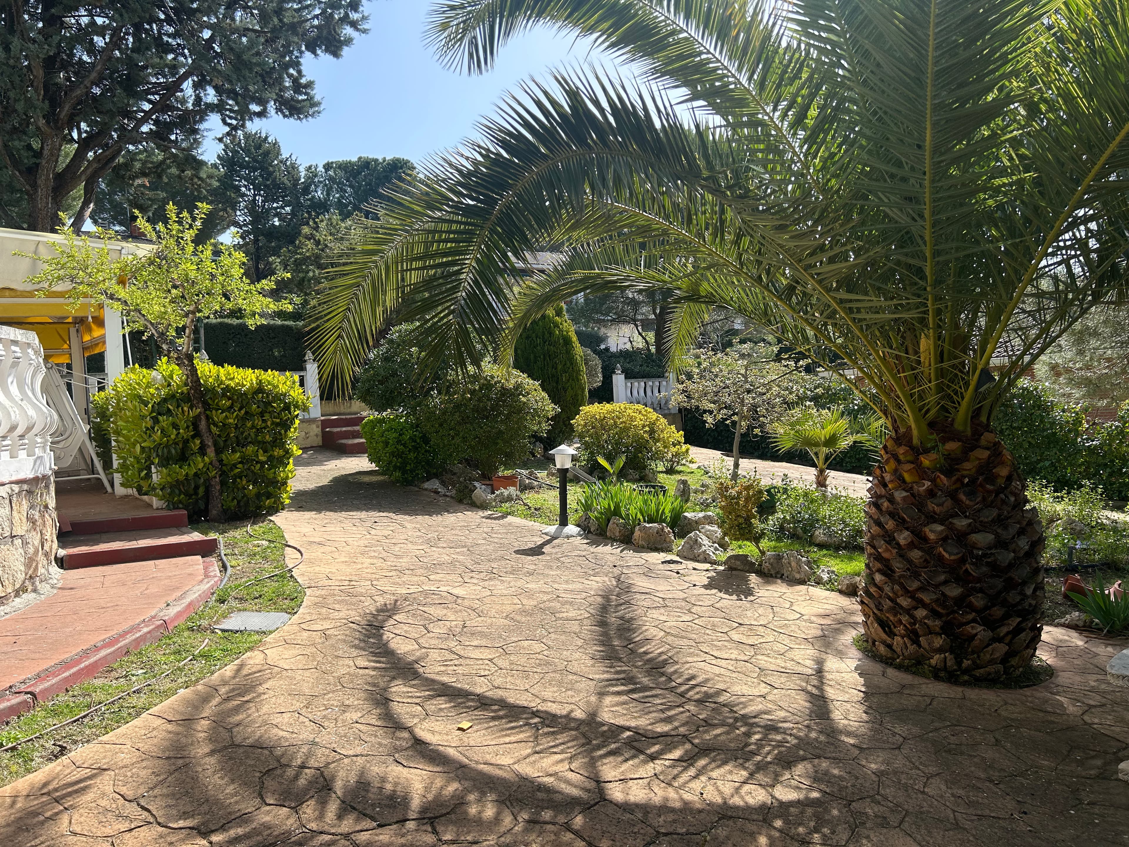 Casa de Guadalajara - Imagen 6