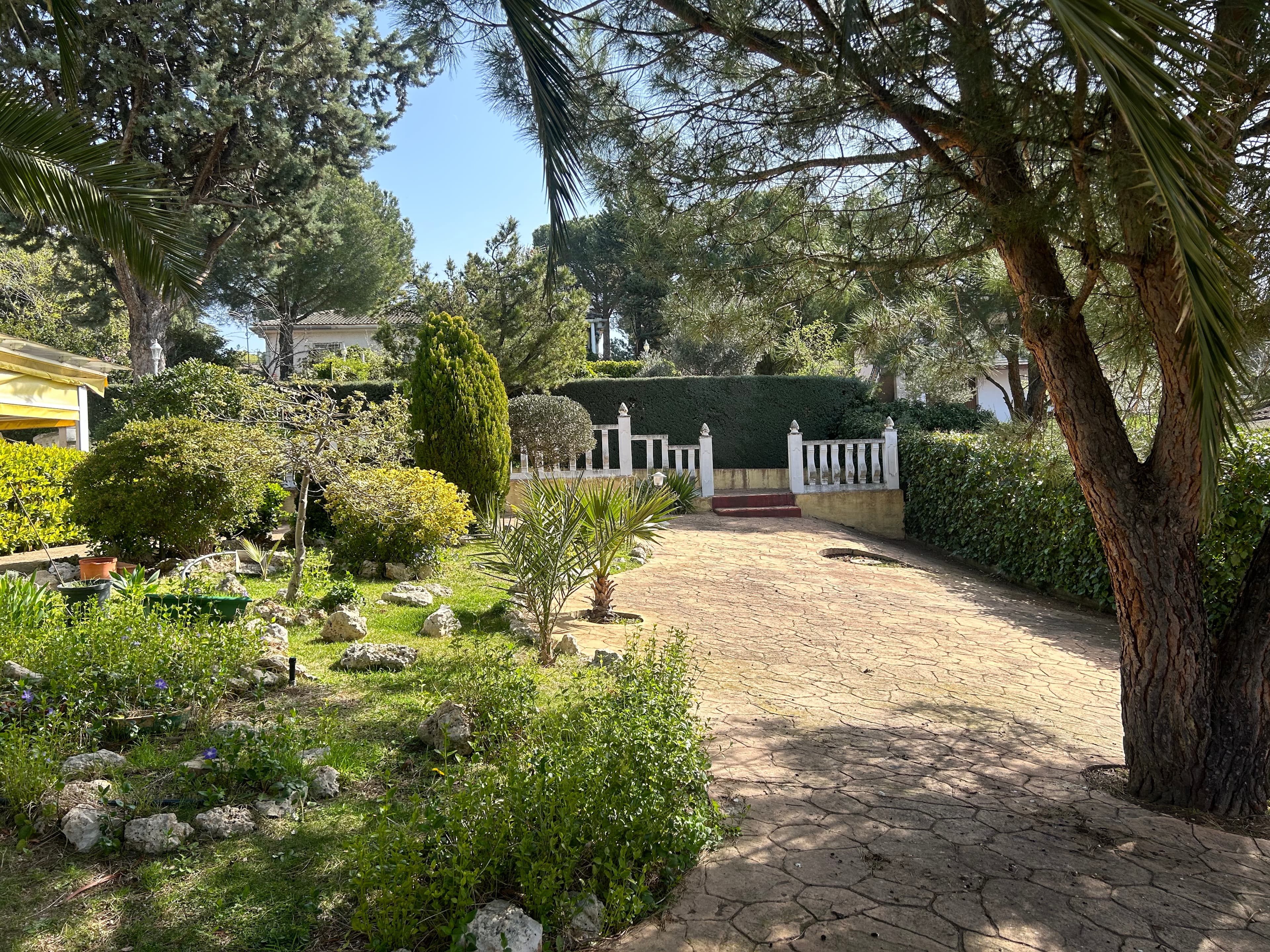 Casa de Guadalajara - Imagen 7