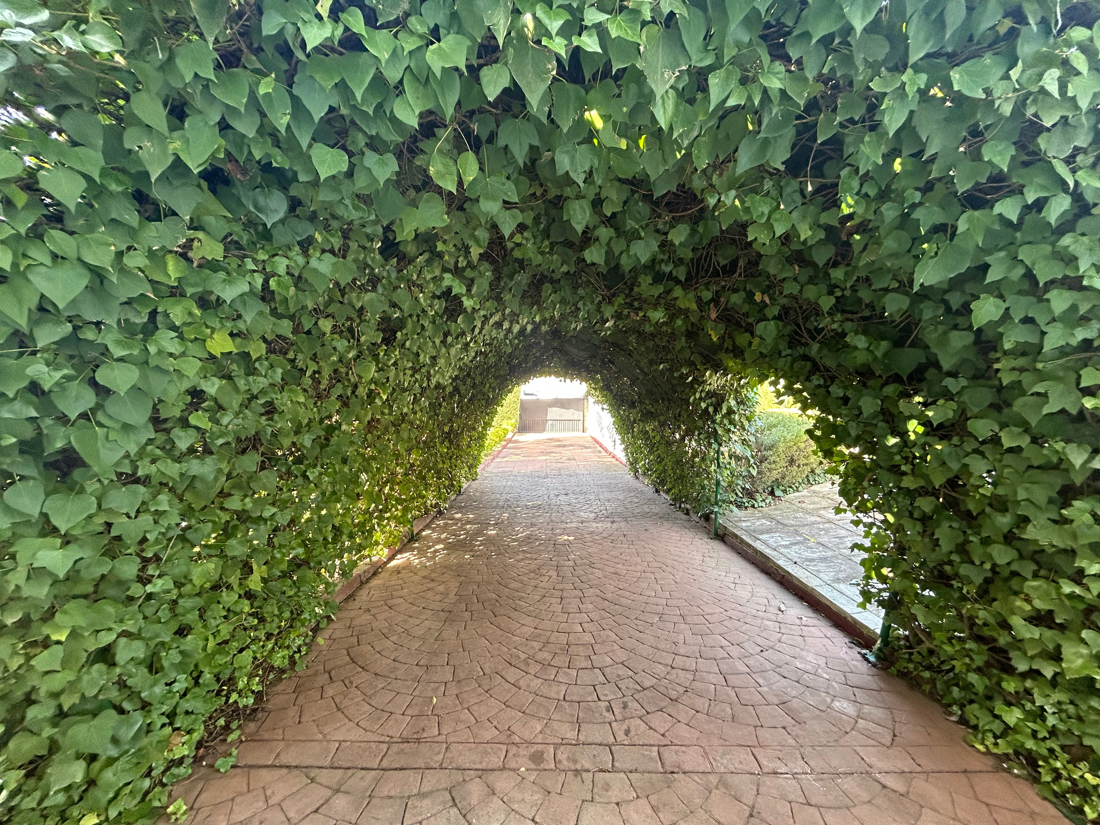 Casa de Guadalajara - Imagen 13