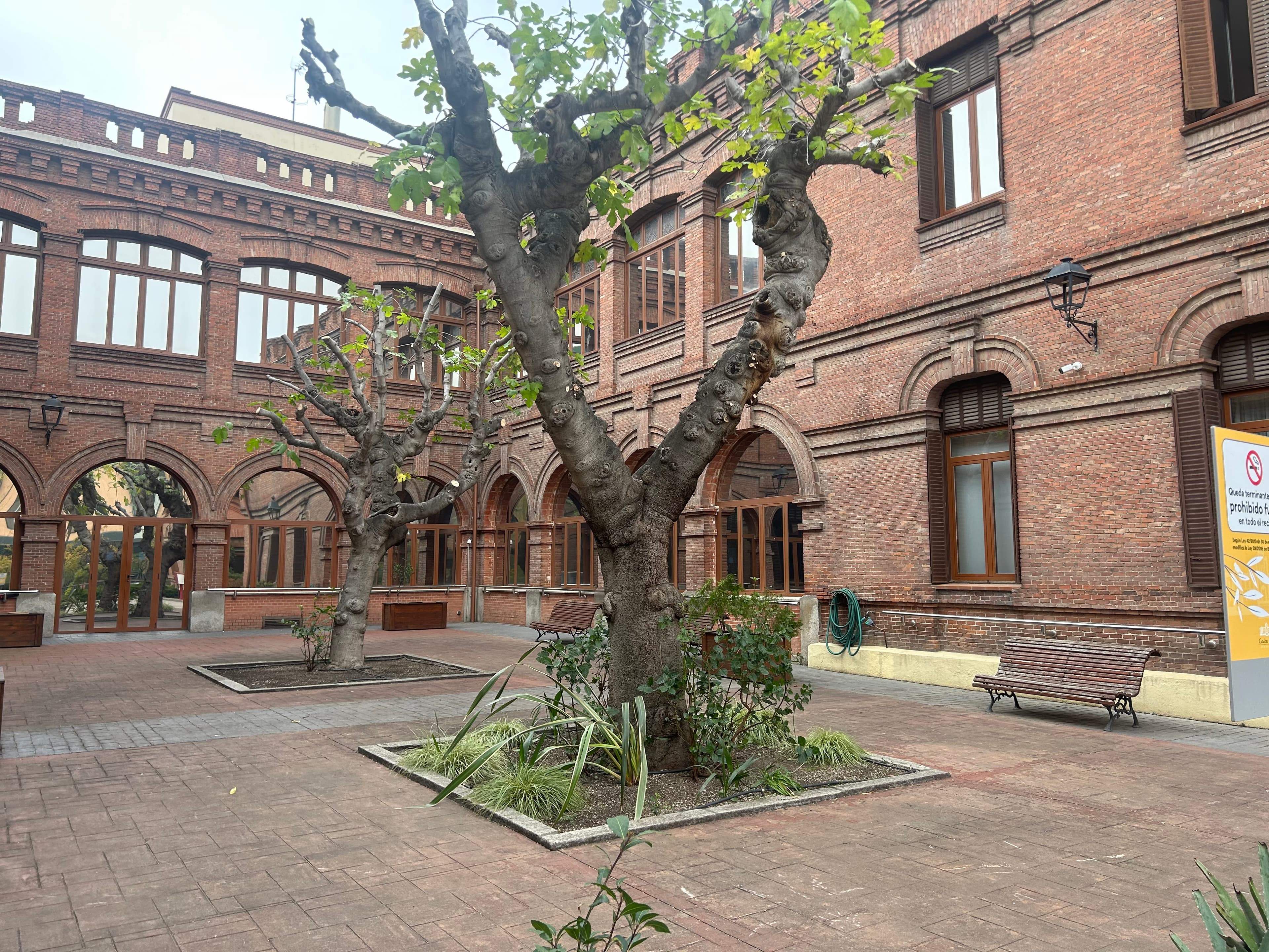 Residencia de Ancianos - Imagen 21